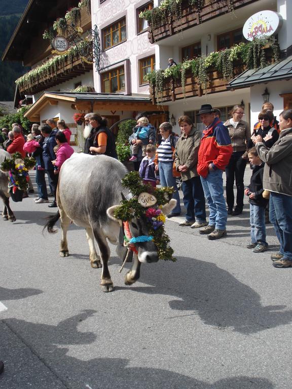 Alpenperle Holzgau